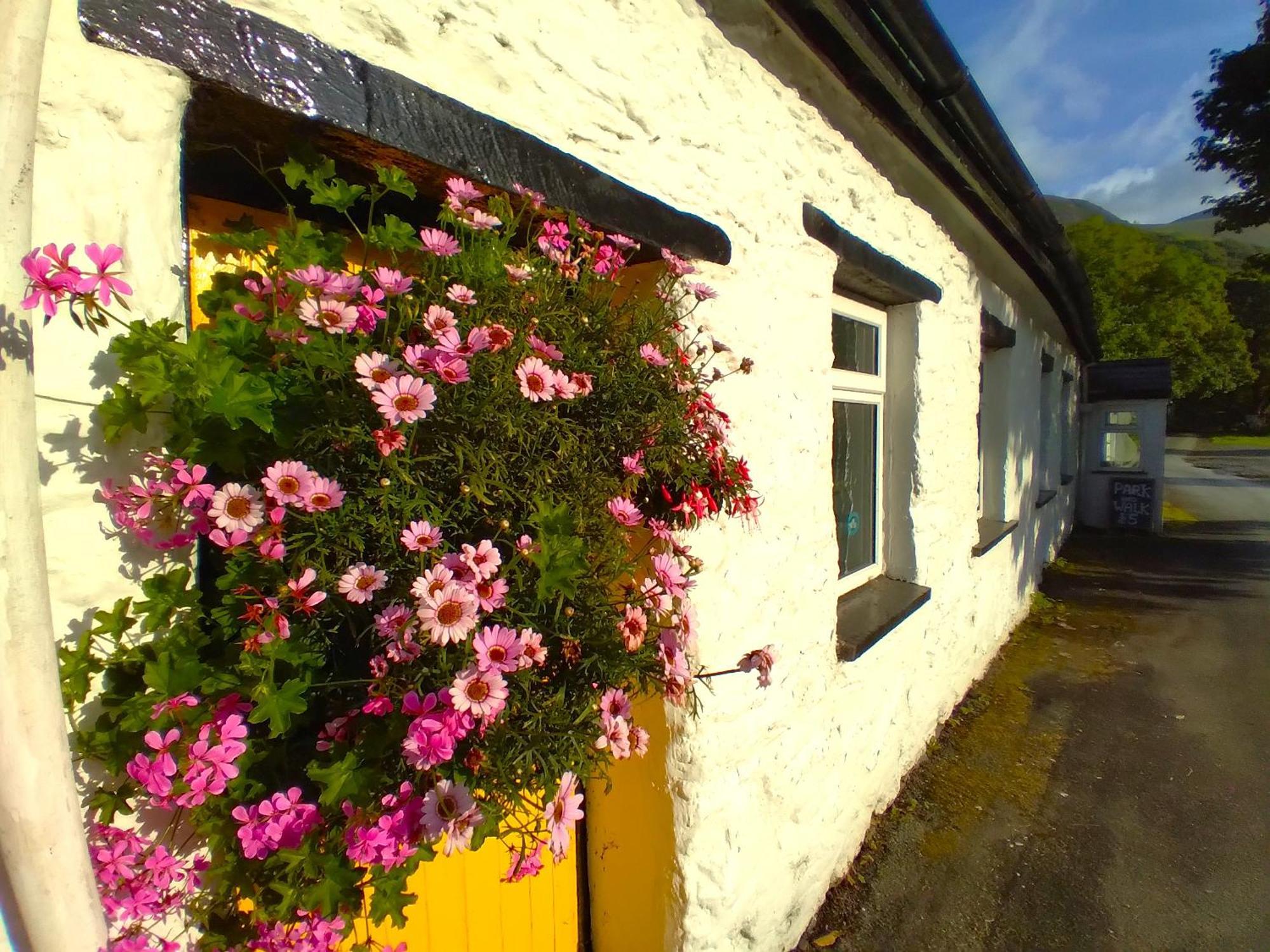 Pen-Y-Bont Hotel Tal-y-llyn Exterior foto