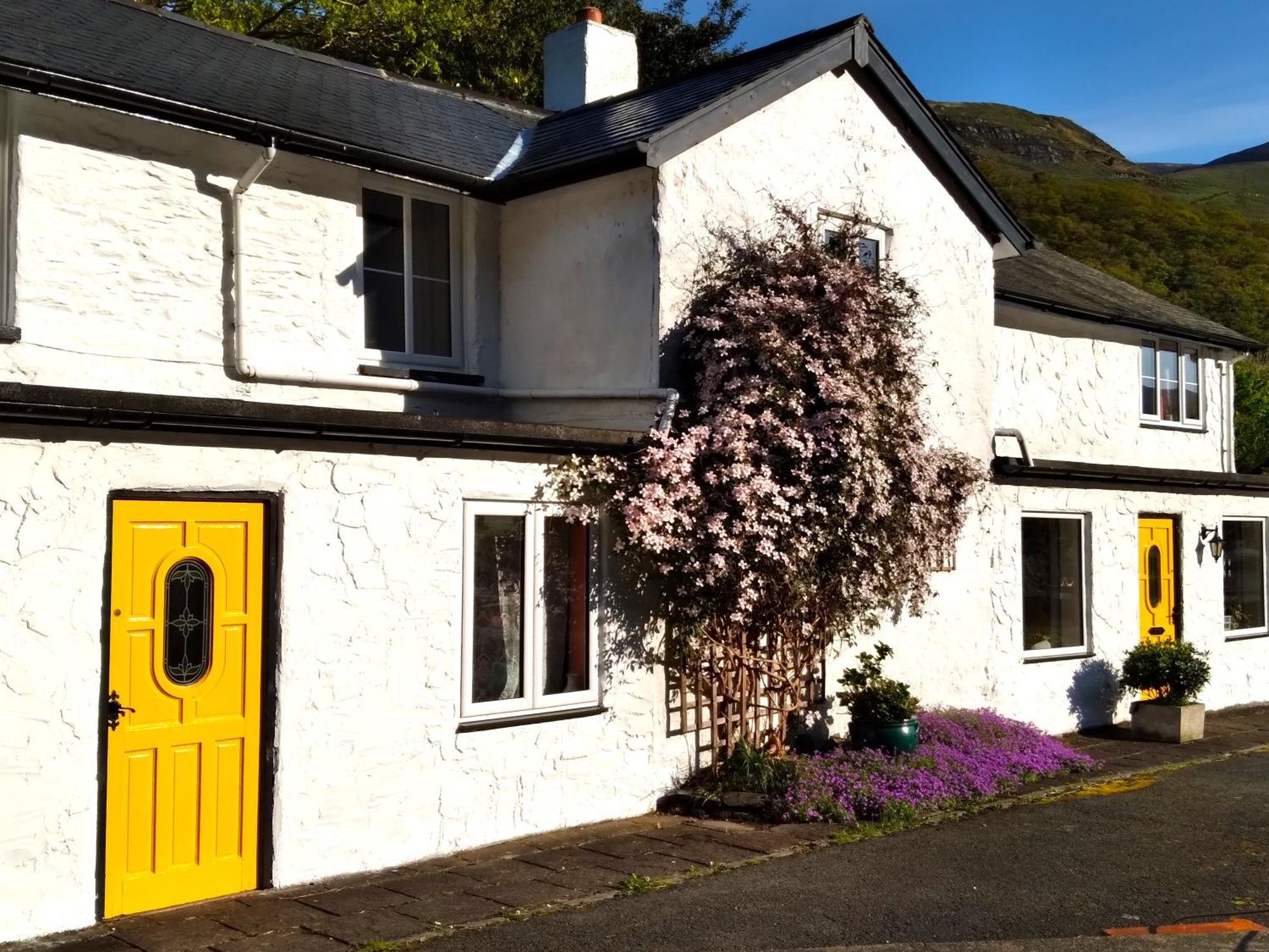 Pen-Y-Bont Hotel Tal-y-llyn Exterior foto
